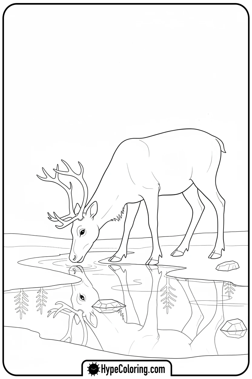 reindeer-drinking-from-stream - reindeer coloring page