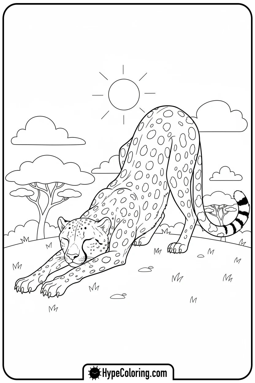 cheetah-doing-morning-stretch - cheetah coloring page