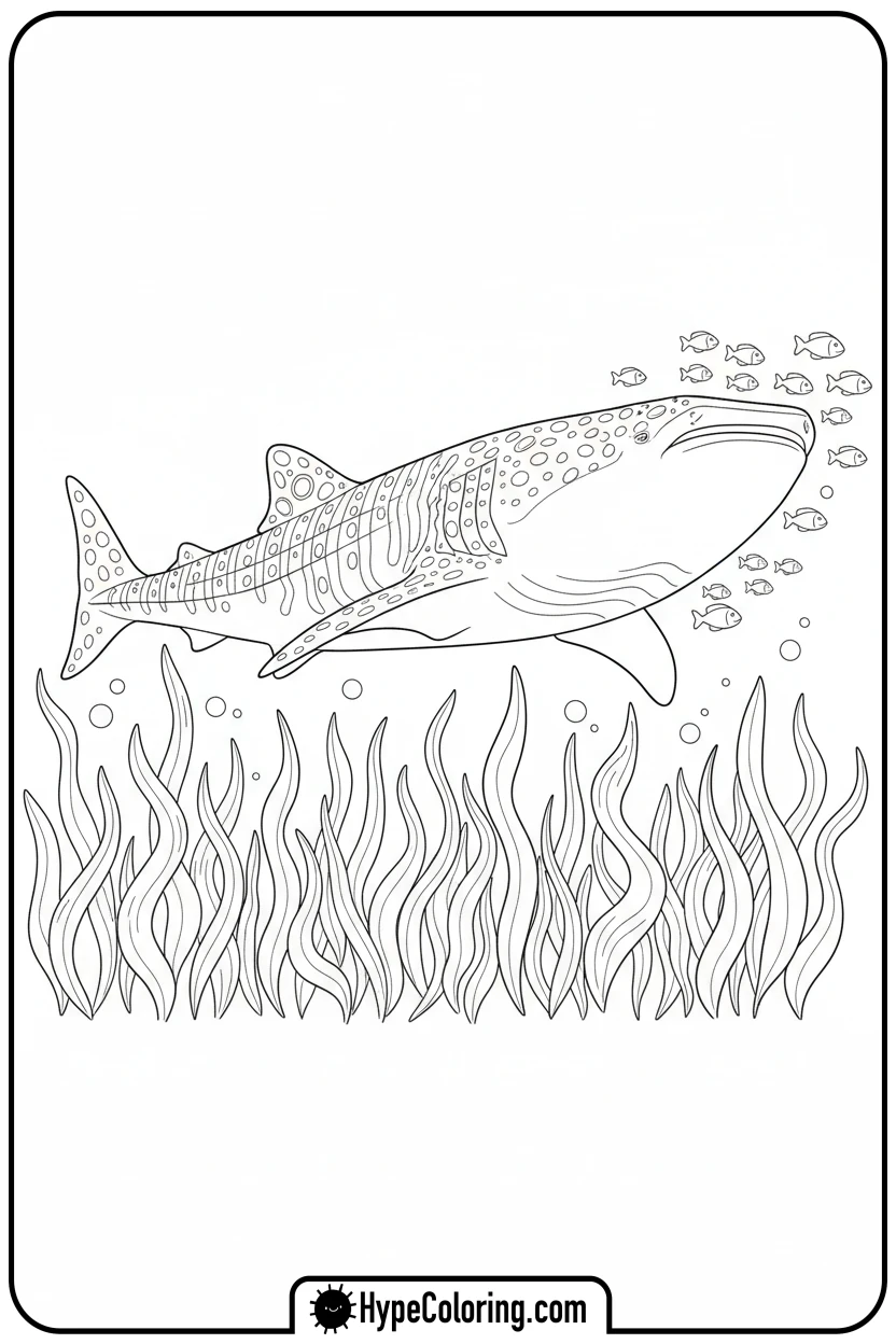 Click to download PDF whale-shark-in-kelp-forest - coloring book pages of fish