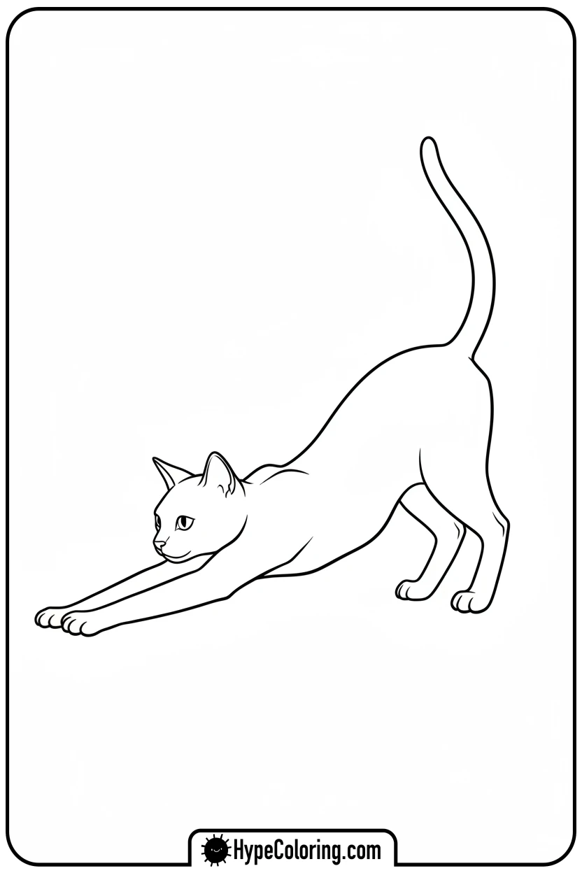 cat-doing-a-full-stretch - cat coloring pages